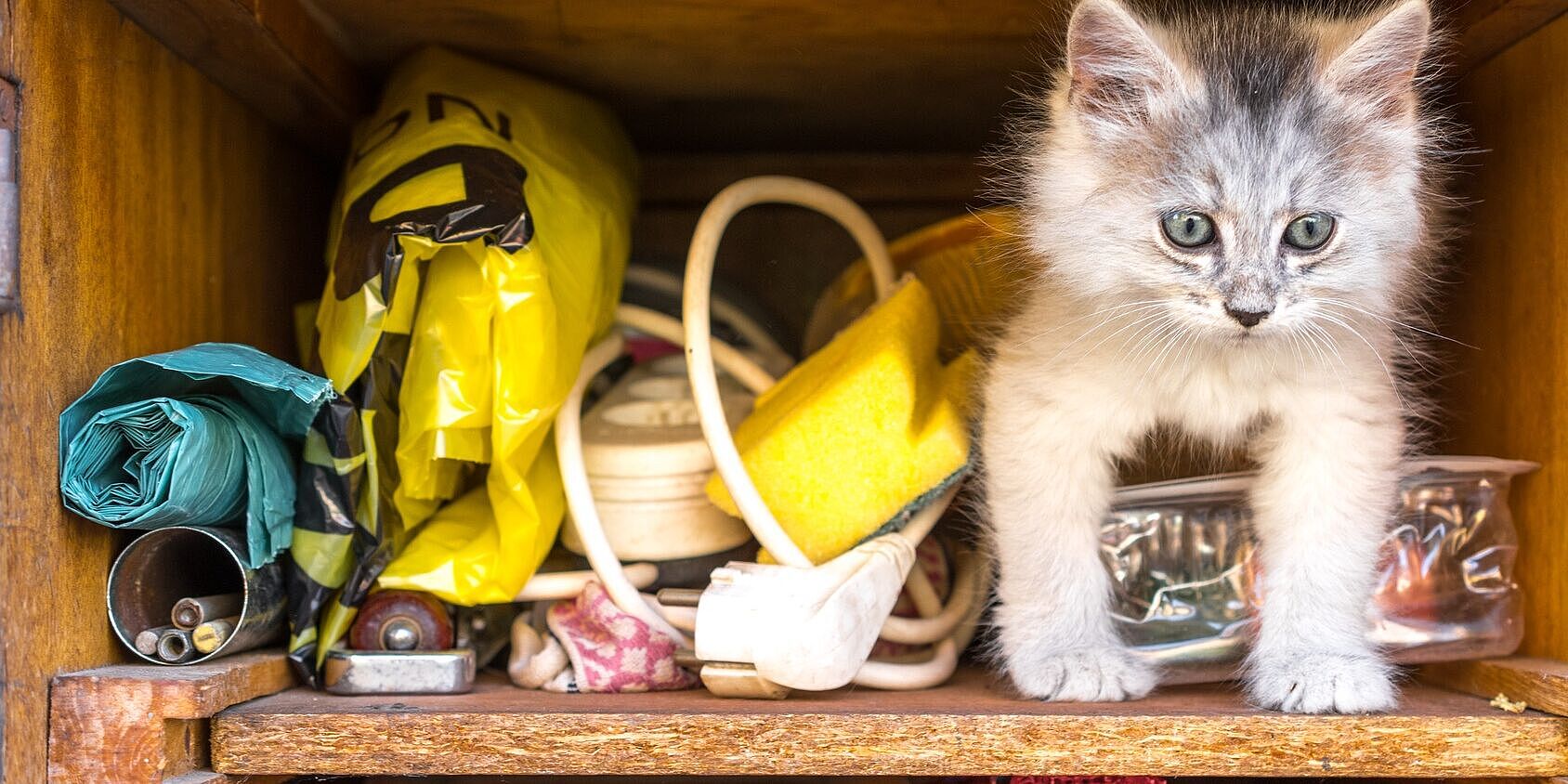 Schublade mit Katze und Kleinkram