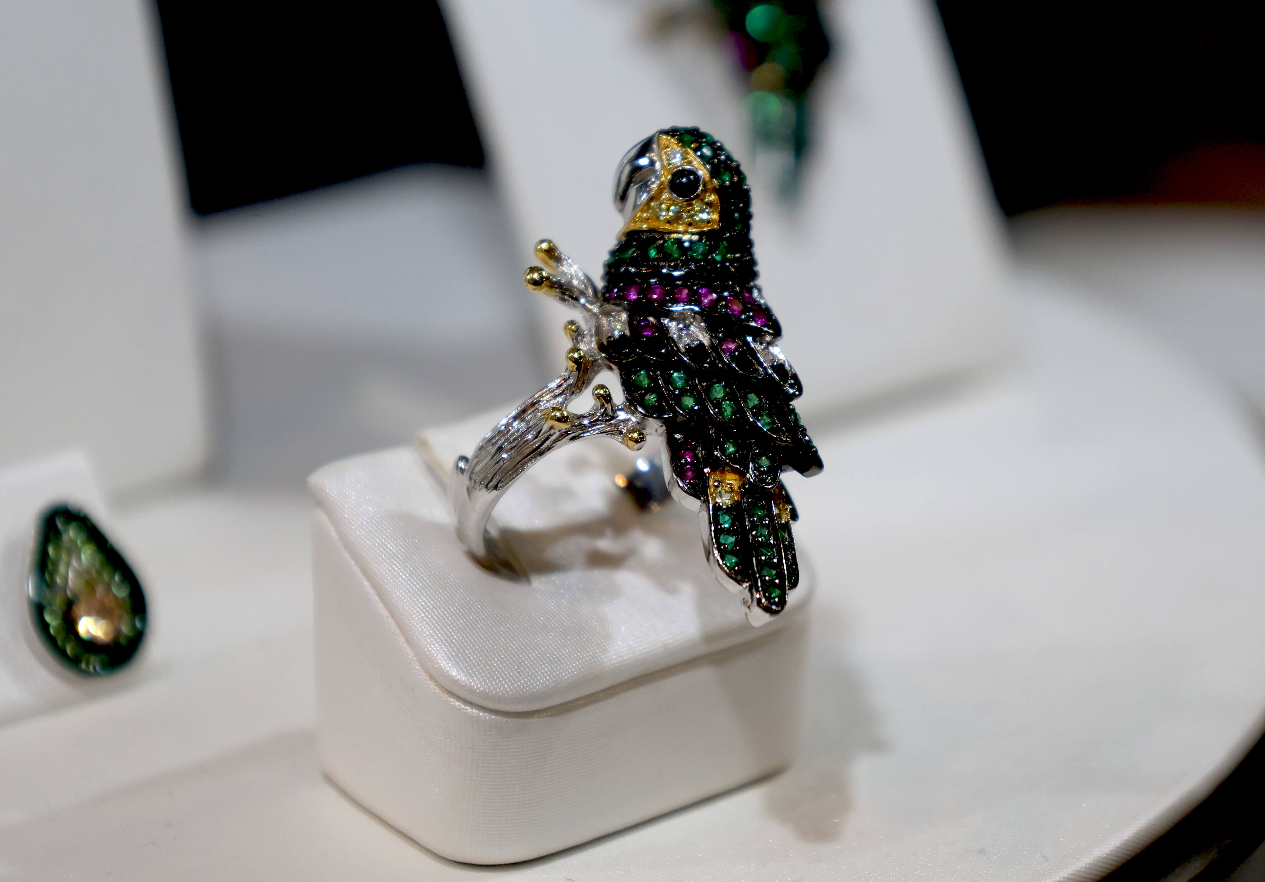 Seinerzeit Flora & Fauna Highlight 2024