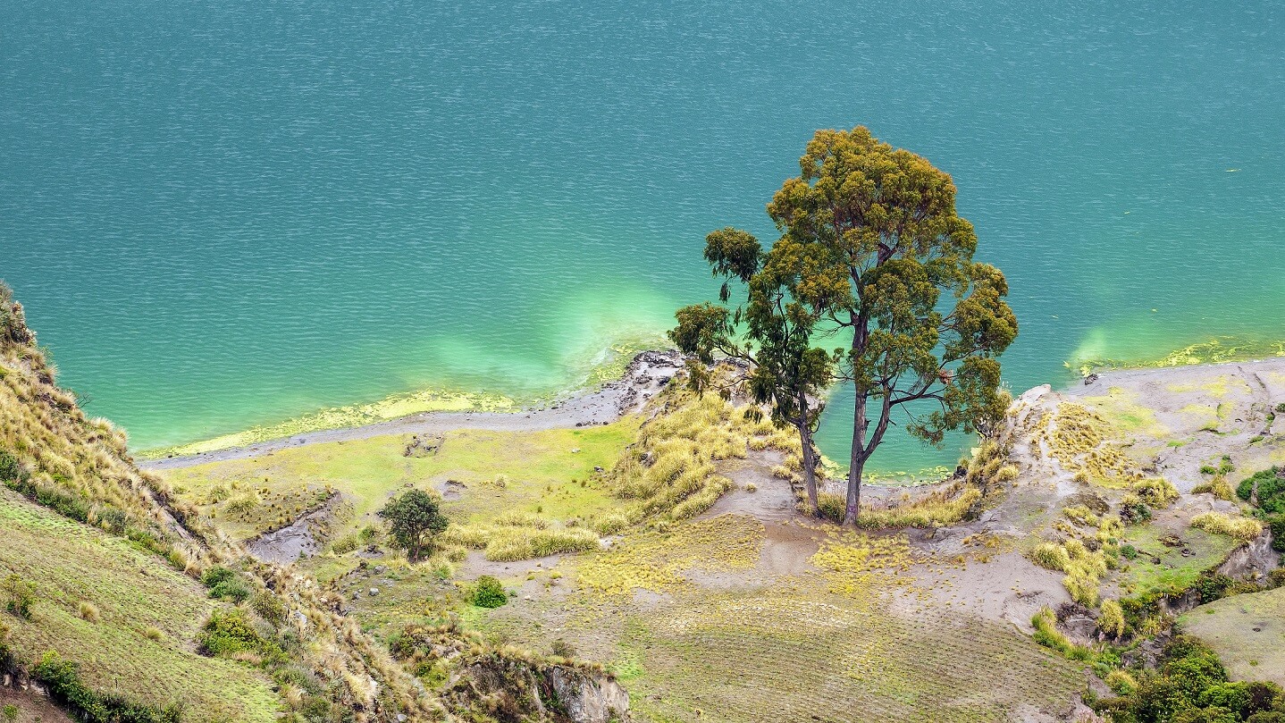 Smaragd-farbenes Ecuador